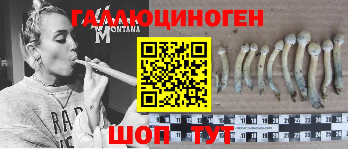 Галлюциногенные грибы Cubensis  Вход с VPN  магазин    Тавда  Псилоцибиновые грибы Cubensis 